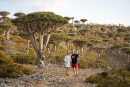 Socotra_2025 (49/76)